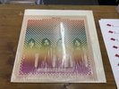 Pink Floyd - Nocturnal Submission: Robot Love Live Album Vinyl LP
