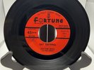 Blues 45 rpm-DOCTOR ROSS-FORTUNE #857 “CAT SQUIRREL”/“THE SUNNYLAND”