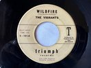 THE VIBRANTS Wildfire/Scorpion TRIUMPH 101 Killer  1962 Surf Rock/Instrumental