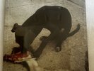 SLOWTHAI “RUNT EP” METHOD MTHDV003 LIMITED EDITION NEW SEALED 33 1/3 RPM EP