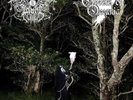 Drowning The Light - Mountain Of Malevolence Split LP Black Metal Vinyl Record