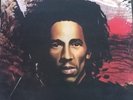 Bob Marley & The Wailers - Natty Dread (LP, Album)