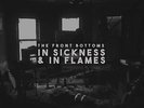 The Front Bottoms In Sickness & In Flames (Vinyl)