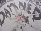 The Damned - New Rose 1976 UK 45 STIFF 1st PRESSING PROMO PLUG COPY
