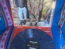 LP  Vinyl English Rose – Never Be Silenced - Punk Oi  RAC Evil Skins Snix