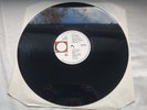 LEE AARON CALL OF THE WILD  Original 1986 Press UK LP  MINT *STUNNING*