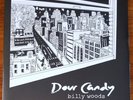 BILLY WOODS BLOCKHEAD - DOUR CANDY Silver Vinyl Deluxe 2LP ARMAND HAMMER  x/1000