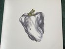 Ween - White Pepper Reissue Vinyl Plain Records (plain144)