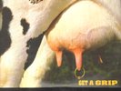 AEROSMITH - get a grip LP 180 gr.