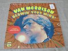 VAN MORRISON / Blowin' Your Mind  OG USA 1st PRESS LP 1967 GARAGE BEAT PSYCH GEM