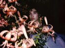 Shirley Hurt Shirley Hurt (Vinyl) (UK IMPORT)