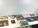 Vintage Vinyl Bundle (Elvis, Jimmy Little, Hank Snow, Etc.) x13 S#542