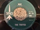 THE TROYES Why / Rainbow Chaser 1967 Garage NM  7
