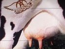AEROSMITH - Get A Grip (reissue) - Vinyl (180 gram vinyl 2xLP)