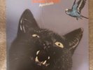 BUDGIE - Impeckable ORIGINAL UK VINYL LP PROG ROCK STUNNING CONDITION