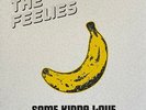The Feelies - Some Kinda Love Performing The Music Of The Velvet Underground - R
