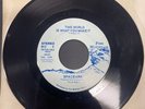 Spaceark This World Is What You Make It 7” Uber Rare ￼70’s LA Funk Soul Boogie