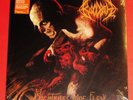 Bloodbath: Nightmares Made Flesh - Limited Edition LP Orange Vinyl Record NEW