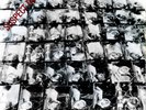 Stiff Little Fingers - Suspect Device - Vintage 1978 Press 7