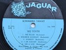 Rare 1972 JAGUAR - Roots Reggae - SCREAMING TARGET - BIG YOUTH LP Soundclip