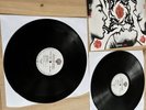 Red Hot Chili Peppers Blood Sugar Sex Magik Double Vinyl Album