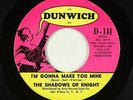 Garage Fuzz 45 - Shadows Of Knight - I'm Gonna Make You Mine - Dunwich