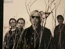 Tom Petty Echo Lp