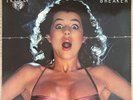 ACCEPT Breaker Vinyl LP ‘81 Brain 0060.390   Original Press Ex/Ex+