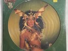 Cher - Take Me Home Picture Disc LP Sealed 1979