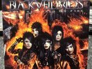 Black Veil Brides – Set The World On Fire LP RARE 2011 Ex Ultrasonic Cleaned