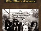 THE BLACK CROWES SOUTHERN HARMONY AND MUSICAL COMPANION NEW LP
