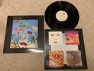 Talk Talk Natural History  12