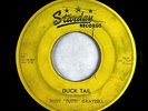 Rockabilly 45 - Rudy Tutti Grayzell - Duck Tail - Starday