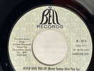 Shirley & The Shirelles Promo 45 Never Give You Up / Go Away and Find Yourself