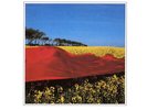 Mind Over Matter The Colours Of Life LP Album Vinyl Schallplatte 019