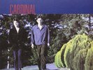 Cardinal - Cardinal (NEW YELLOW VINYL  LP + CD)