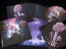 Blut aus Nord -  Hallucinogen - Slipcase Gatefold DLP Picture Vinyl with insert