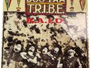 Boo-Yaa Tribe Raid Vinyl Record 12” 45 RPM Maxi Single 12 BRW 158 4th Bway 1989