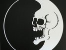 DEAD MOON Echoes of the Past 141/2000 LOW NUMBER MARBLE 4xLP BOX SET + FREE SHIP