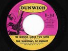 THE SHADOWS OF KNIGHT '67 DUNWICH I'M GONNA MAKE YOU MINE GARAGE VG++/VG+ FLIP
