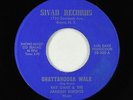 Funk 45 - Ray Gant & The Arabian Knights - Chattanooga Walk - Sivad - VG+