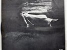 BILL EVANS UNDERCURRENT SOLID STATE SR3084 JAPAN VINYL LP