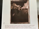 Pixies Surfer Rosa Mobile Fidelity Labs Numbered Limited Vinyl Remastered