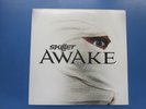 SKILLET AWAKE HARD ROCK ALTERNATIVE 2009 RELEASE + INNER RARE (2015) LP NM