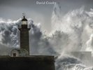 David Crosby Lighthouse (Vinyl) 12