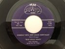 Bluegrass 45 BLUE GRASS GENTS Someday We'll Meet Again PEAK  hear