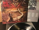 Amen Corner Fall, Ascension, Domination LP 93 Cogumelo SIGNED Brazil Black Metal