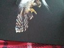 The Courteeners 'Falcon' White Vinyl RSD