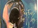 PINK FLOYD – x18 03142 1982 3-way PicSleeve 7