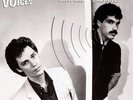 Hall & Oates - Voices Vinyl LP Mobile Fidelity Sound Lab MFSL Factory Sealed NEW